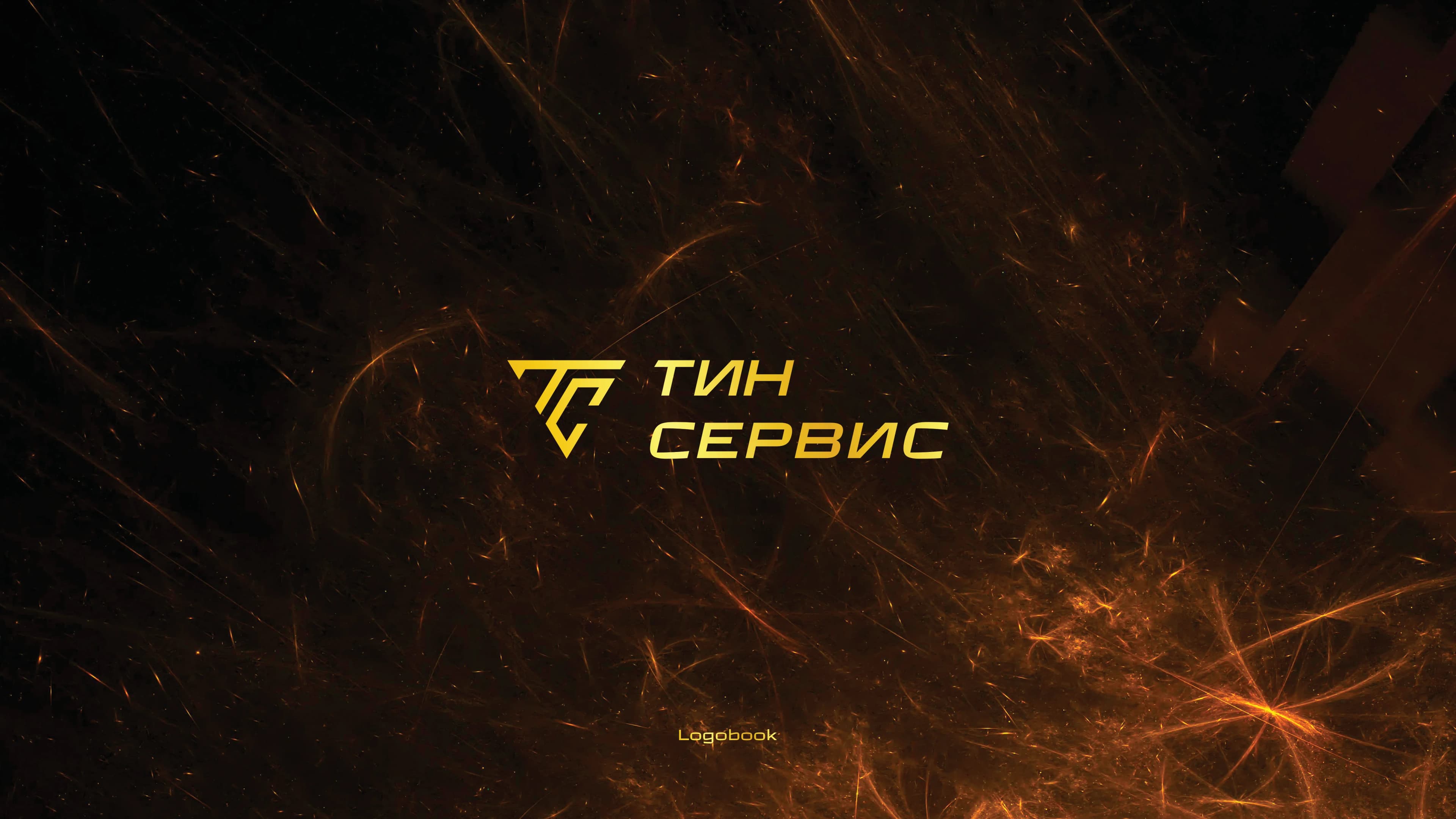 Тин Сервис — Логотип